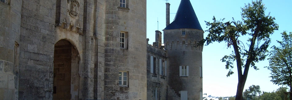 location-jonzac-chateau